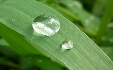 我心灵的甘露600作文优质6篇