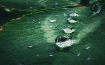 我心灵的甘露600作文最新6篇