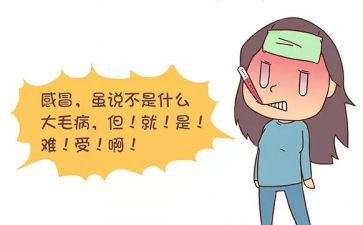 预防感冒大班健康教案8篇