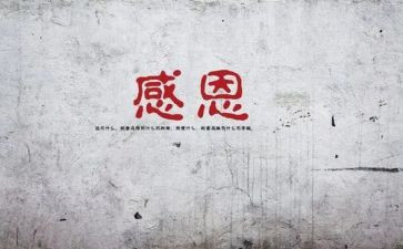 感谢老师的陪伴作文8篇