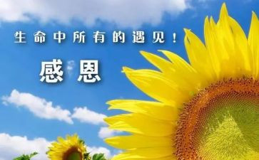 感谢母校的作文6篇
