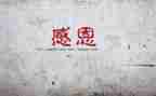 感谢老师的陪伴作文8篇