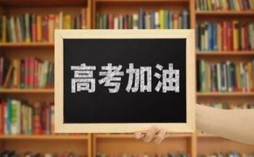 2024年高考工作总结最新7篇
