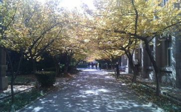 高校新教师培训心得推荐6篇