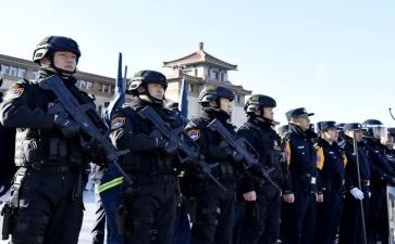 公安网心得体会优质5篇
