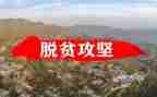 攻坚队工作总结精选5篇
