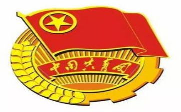 共青团干工作总结最新8篇