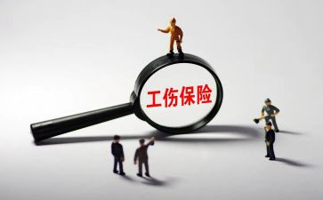 工伤保险科2024年工作总结5篇