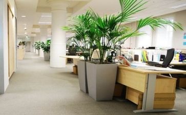 公司总结和心得体会5篇