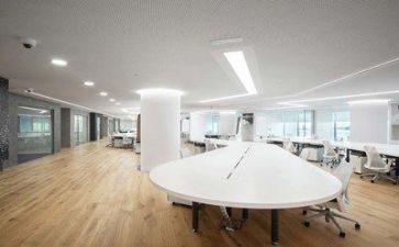 公司述职报告参考8篇