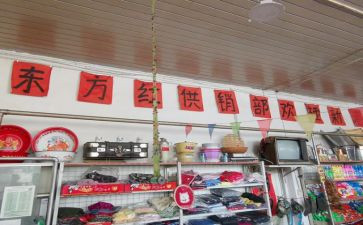 县供销社述职报告7篇