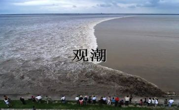 读了观潮心得体会总结推荐7篇
