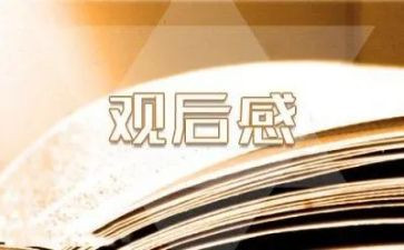 看将改革进行到底观后感6篇