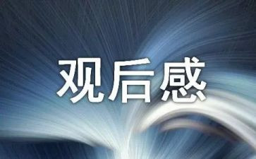观后感作文400字7篇