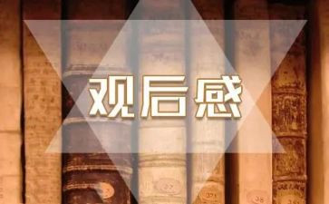看雷锋的电影的观后感推荐8篇
