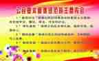 桂教规范心得体会最新7篇