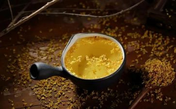 桂花作文600字6篇