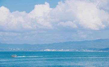 《林海雪原》的读后感5篇