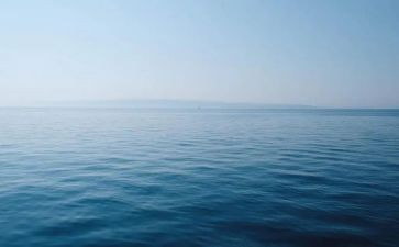 赶海教案7篇