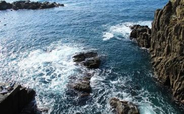 红海行动观后心得体会7篇