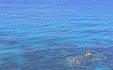 海的老人读后感500字6篇