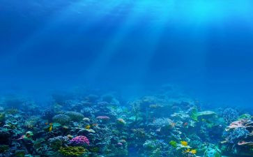 海底的读后感600字7篇