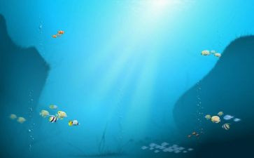 凡尔纳《海底两万里》读后感优秀6篇