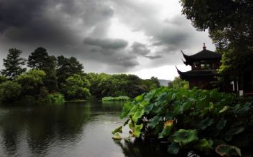 杭州旅游的心得7篇