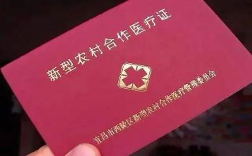 乡镇合疗工作计划范文5篇