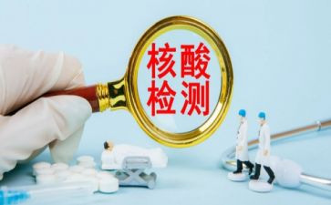 核酸采集支援队工作总结5篇