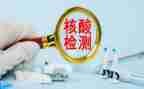 核酸采集支援队工作总结5篇