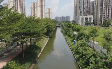河涌整治工作总结7篇