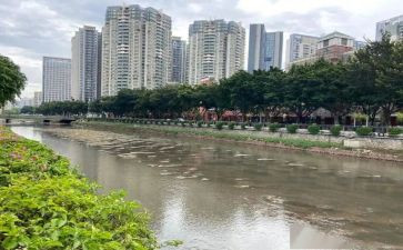河涌工作总结最新7篇