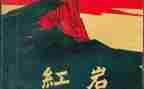 红岩书读后感600字5篇