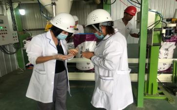 检化验工作总结推荐7篇