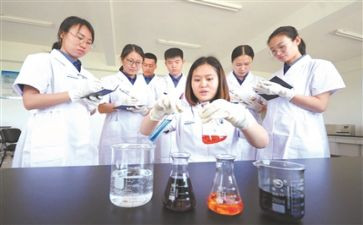 试化验工作总结精选8篇