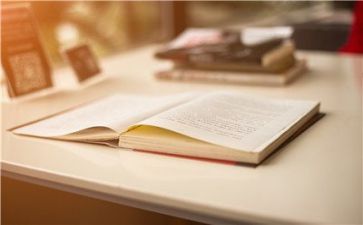 会计个人个人述职报告参考5篇