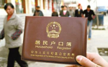 户籍的工作总结6篇