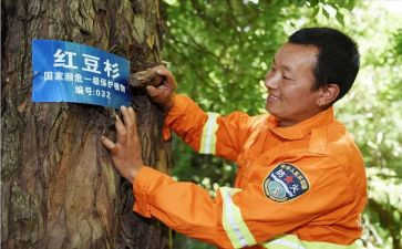 护林员月总结推荐7篇