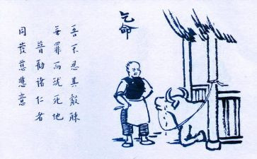 保护生态调查报告7篇