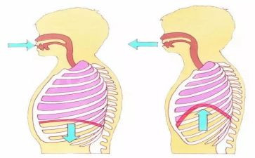 呼吸内科护士心得5篇