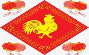 老母鸡的教案8篇
