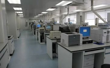 检测员2024年度总结7篇