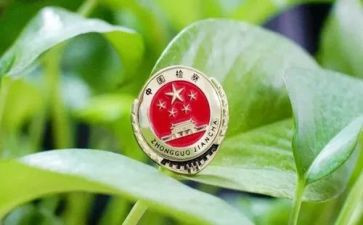 《一号检察建议》心得体会5篇