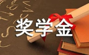 校奖学金个人总结7篇