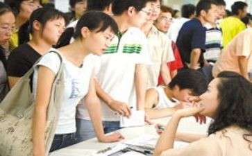 见习工作总结范文8篇