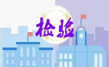 检验年工作总结5篇