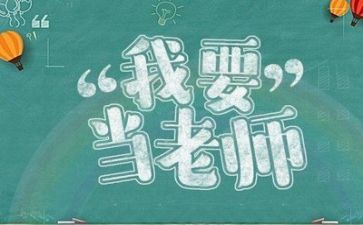 教师半年工作总结2023个人优质7篇
