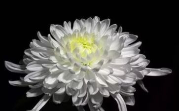 清明节祭奠演讲稿5篇