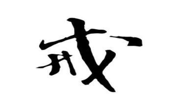 以案为戒警示教育心得体会最新6篇